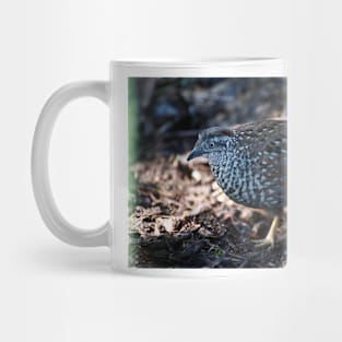 Button Quail Mug